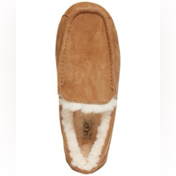Ugg Ascot Slipper - Picture 1 of 8